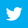 Twitter logo 100x100 pixels